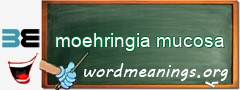 WordMeaning blackboard for moehringia mucosa